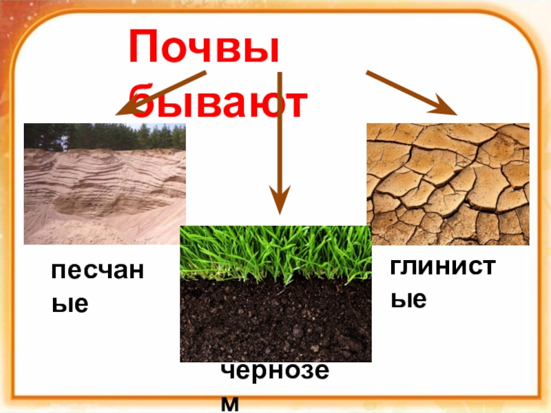 Почва зеркало ландшафта презентация