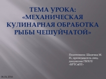 Механическая кулинарная обработка рыбы чешуйчатой