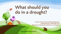 Название разработки:What should you do in a drought?