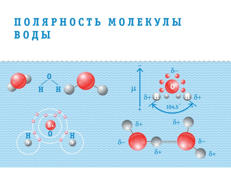 Физика молекулы воды. Молекула воды диполь. Структура молекулы воды. Полярность молекулы воды. Строение молекулы воды.
