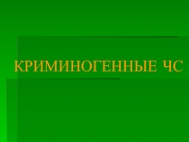 Крименогенные ситуации в городе