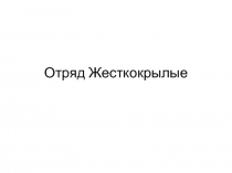 Презентация по биоологии на тему Отряд жесткокрылые (7 класс)