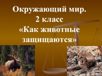 Презентация по окружающему миру на тему Как защищаются животные