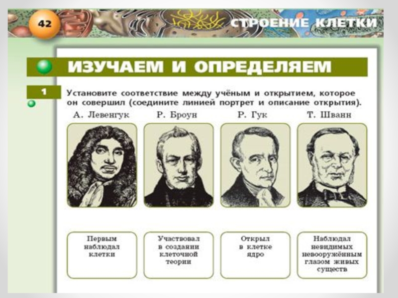 Вклад в развитие биологии. Открытия в биологии. Установите соответствие между открытием и ученым. Развитие знаний о клеточном строении организмов. Важнейшие биологические открытия.