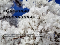 Презентация по окружающему миру на Снежные кристаллы (1 класс)