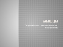 Презентация по теме Мышцы