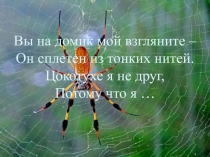 Презентация по биологии для 7 класса Строение паутины и ее роль