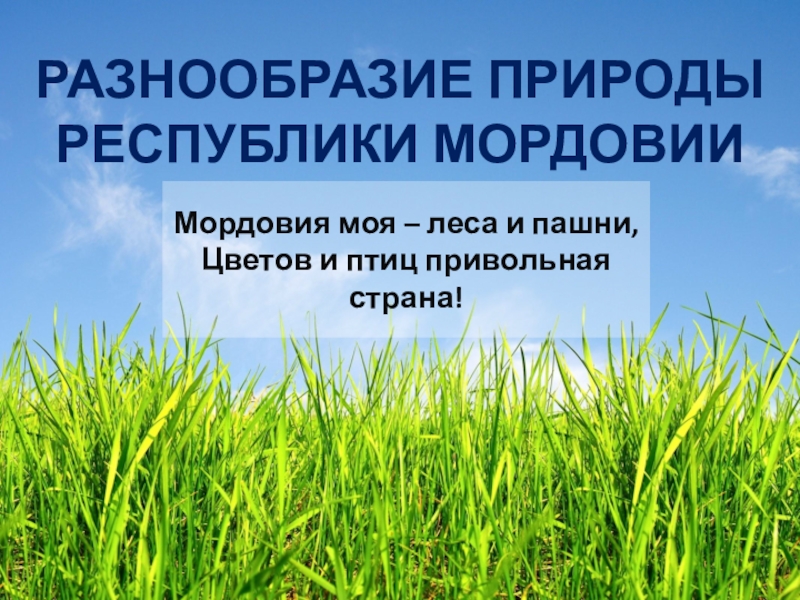 Мир природы 3 класс. Разнообразие природы. Природа Мордовии презентация. Разнообразие природы Мордовии. Разнообразие природы Мордовии проект.