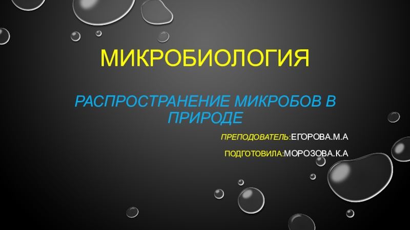 Презентация на тему распространение микробов в природе