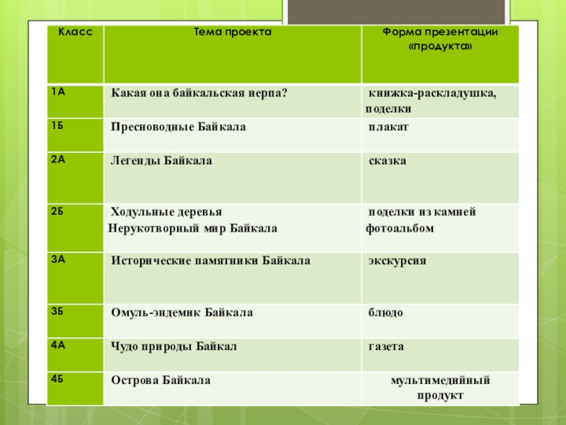 Какая может быть форма презентации проекта