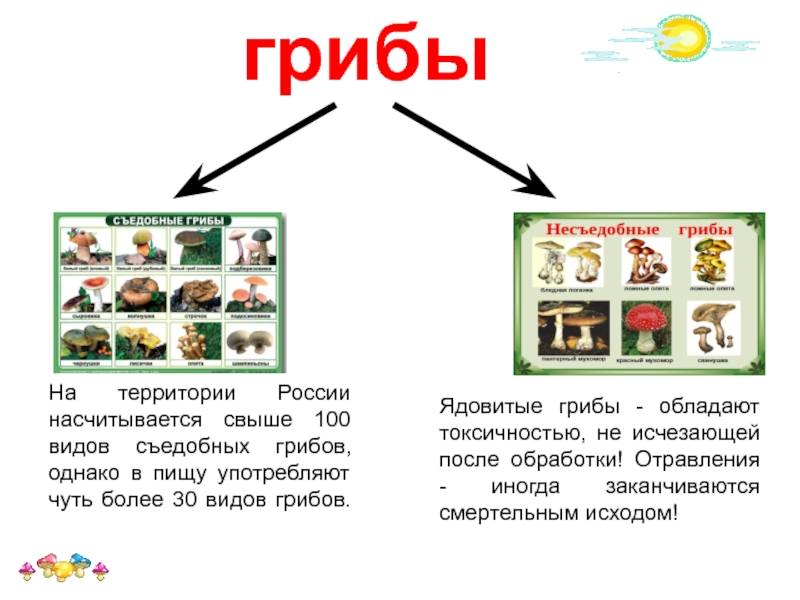 Грибы 2 класс перспектива презентация