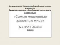 Презентация Самые медленные животные мира. 5 класс. Занятие факультативного курса.
