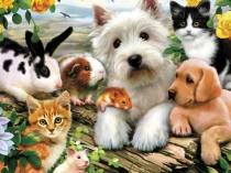 Презентация проекта по окружающему миру Дружба животных в 1 классе