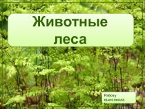 Презентация по окружающему миру В мире животных 1 класс