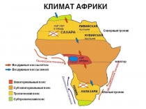 Презентация по географии на тему Климат и внутренние воды Африки (7 класс)
