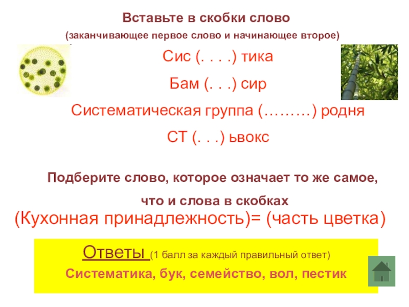 Вставьте в скобки подходящее слово