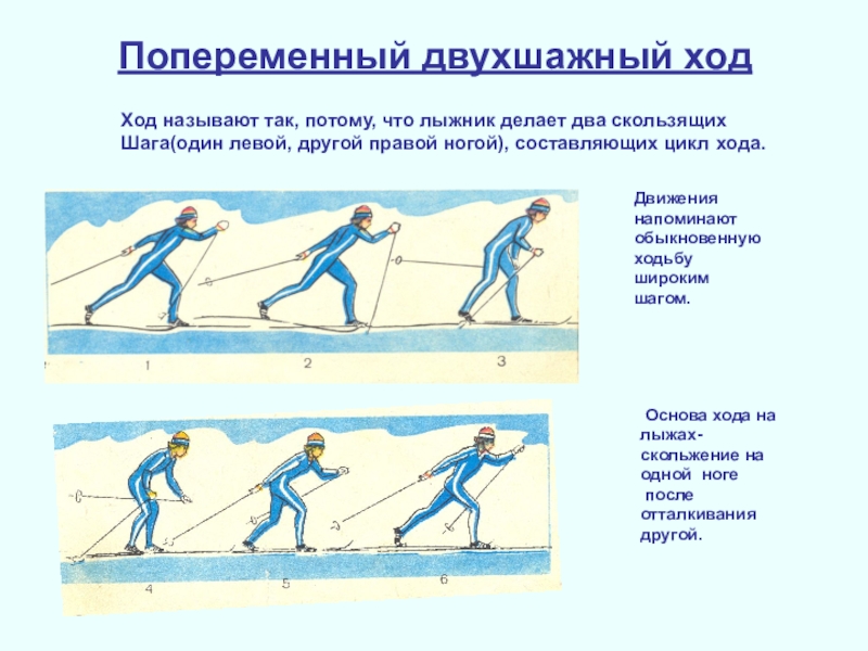 Определите в каком ответе каждому лыжному ходу соответствует свой рисунок