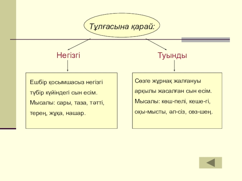 Сын есім презентация 5 сынып орыс сыныбы