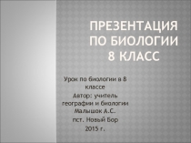 Презентация по биологии на тему Строение и функции кожи (8 класс)
