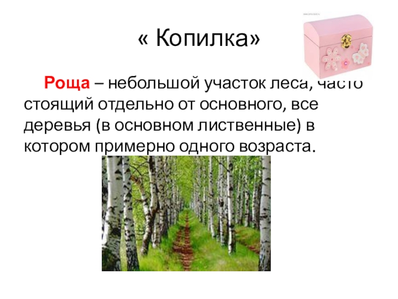 Язык роща. Небольшой лес маленький роща. Роща это Толковый словарь. Что такое роща определение. Роща из одного дерева.