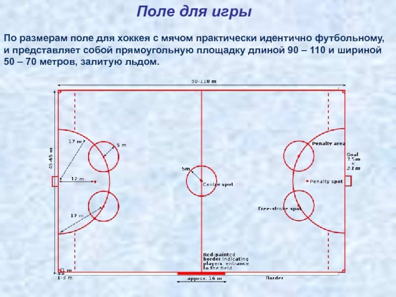 Сколько игроков в хоккее. Размеры хоккейного поля для хоккея с мячом. Размеры хоккейной площадки для хоккея с мячом. Разметка хоккейного поля для игры в хоккей с мячом. Хоккей с мячом размер площадки.