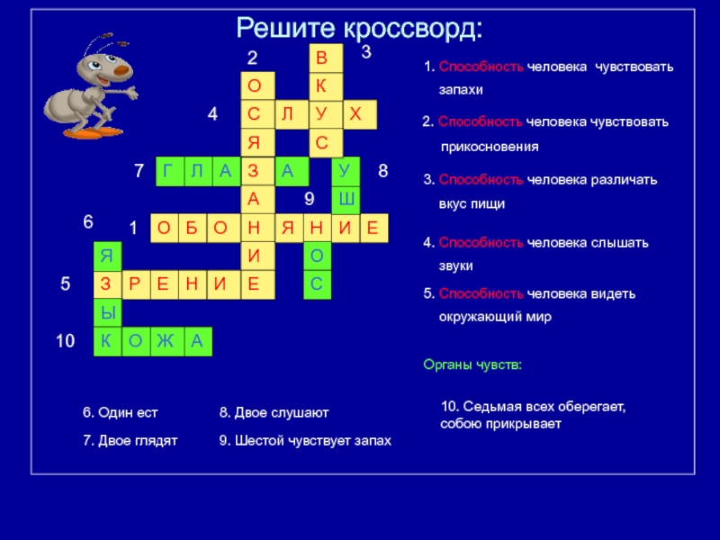 Кроссворд по окружающему миру 1 класс презентация