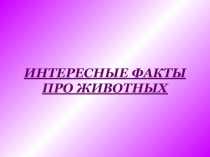 Презентация по окружающему миру на тему  интересное о животных(3 класс, Планета знаний)