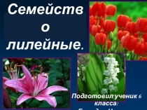 Презентация по биологии Семейство лилейные