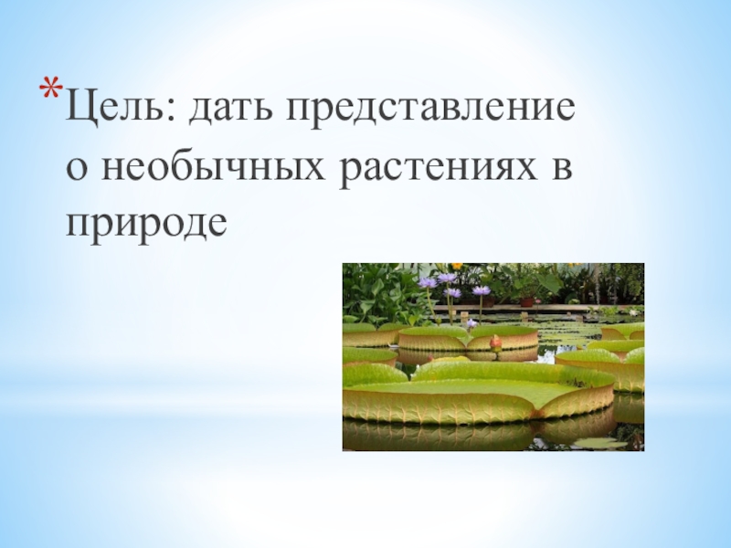 Цель: дать представление о необычных растениях в природе