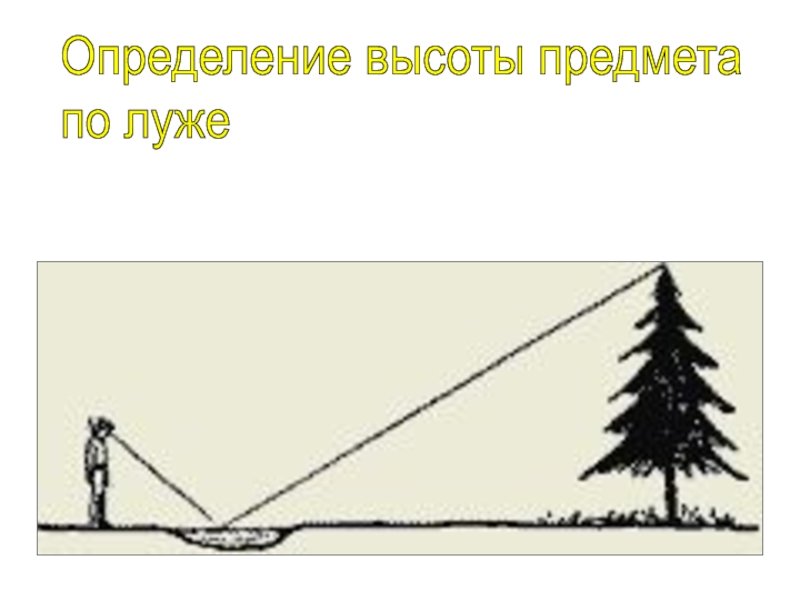 Высота предмета. Измерение высоты предмета по луже. Измерение высоты объекта по луже. Определение высоты предмета по луже. Измерение высоты при помощи лужи.