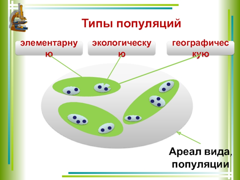 Презентация на тему популяции 9 класс биология