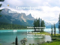 Презентация по биологии на тему :  Герпетофауна Волгоградской области