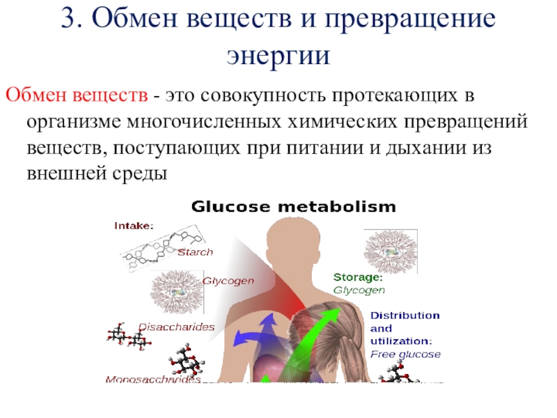 Совокупность протекающих