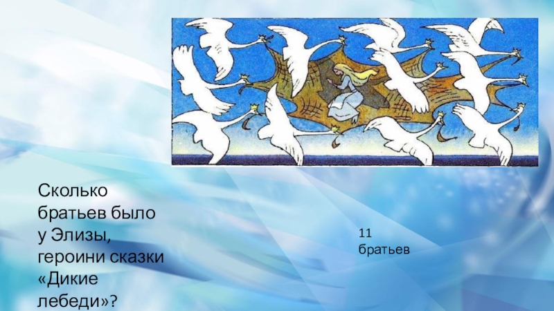 Сколько братьев. Сколько братьев было у Элизы героини сказки Дикие лебеди. Сколько братьев было в сказке Дикие лебеди. Сколько братьев было у Элизы героини сказки Андерсена Дикие лебеди. Дикие лебеди сколько братьев у Элизы.