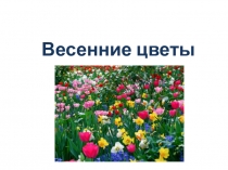 Весенние цветы