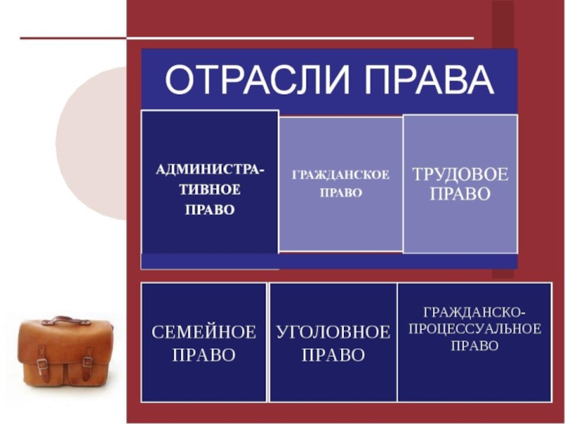 Правая тип. Обществознание. Право. Презентация по праву. Презентация по обществознанию. Право Обществознание 9 класс.