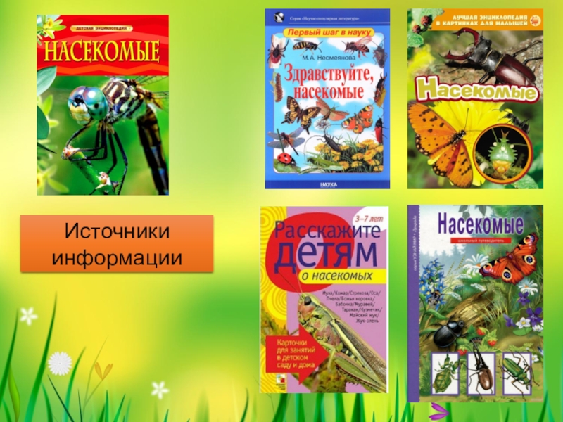 Великан на поляне насекомые для коллекции. Мир насекомых журнал. Расскажите детям о насекомых карточки. Насекомые для коллекции великан на Поляне. Не ловите насекомых для коллекций.