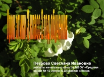 Конспект с презентацией к урокам по этике Красота, вдохновение, радость, тайна. 3 класс