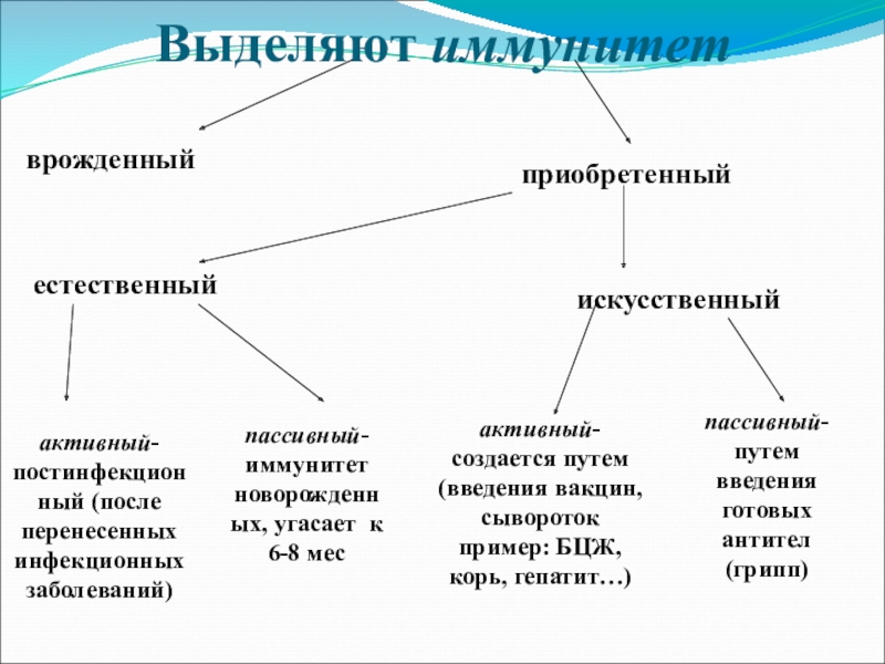 Презентация по микробиологии на тему иммунитет - 98 фото