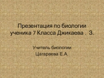 Презентация по биологии на тему Пауки