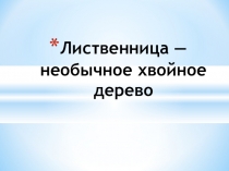 Презентация по биологии 5 класс на тему Лиственница - необычное хвойное дерево