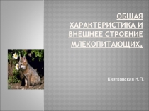 Презентация по биологии на тему Общая характеристика млекопитающих