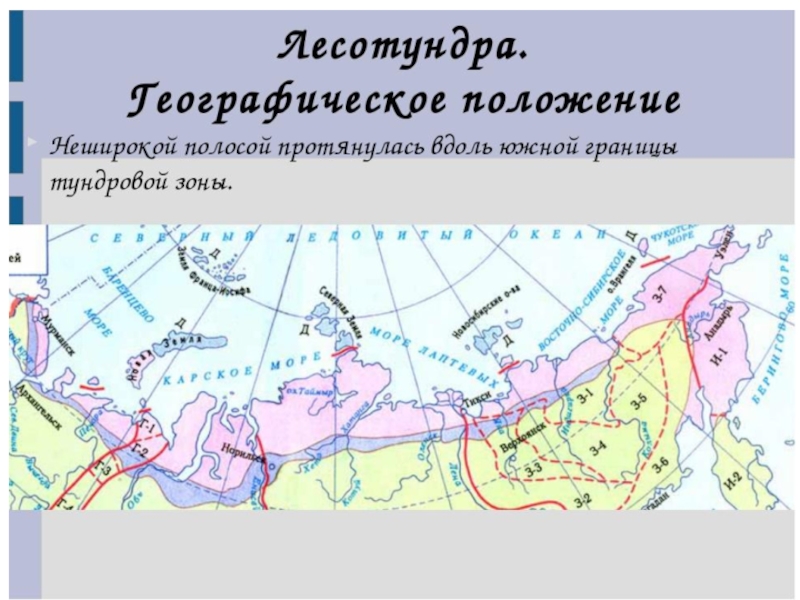 Цветом покажите природные зоны тундру лесотундру тайгу контурная карта 8 класс европейский север