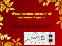 Урок в 9 классе Размножение клетки и её жизненный цикл