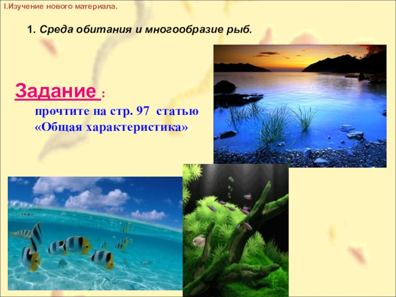 Презентация на тему многообразие рыб. Среда обитания хрящевых рыб. Тема класс рыбы среда обитания. Многообразие рыб задания.