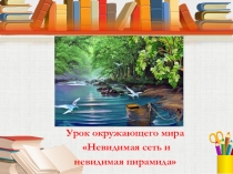 Презентация по окружающему миру Невидимая сеть и невидимая пирамида (3 класс)