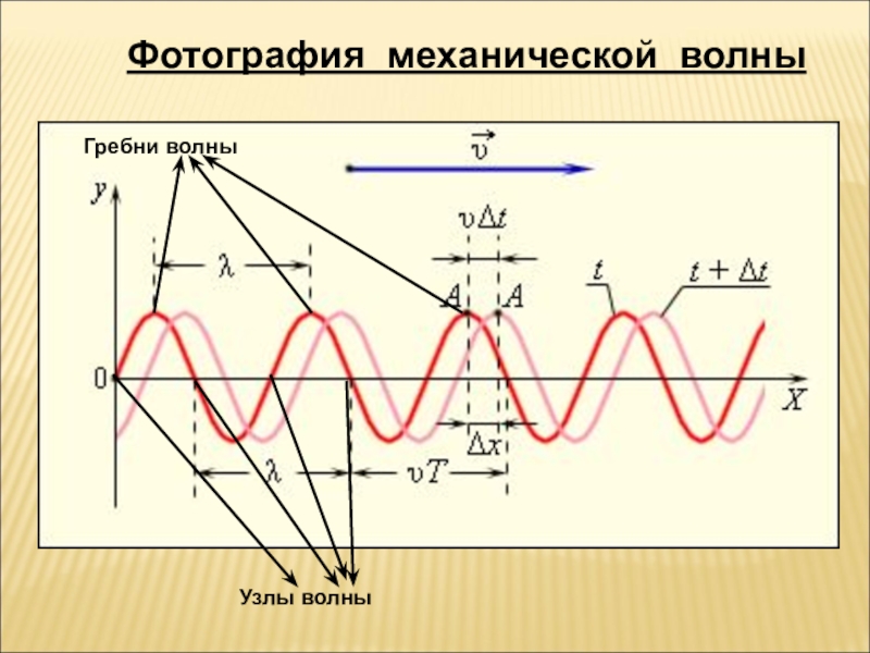 Работа волны физика. Параметры колебаний и волн. Механические волны. Волны физика. Механические волны физика.