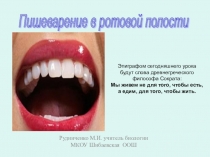 Презентация к уроку по биологии на тему Пищеварение в ротовой полости (8 класс)