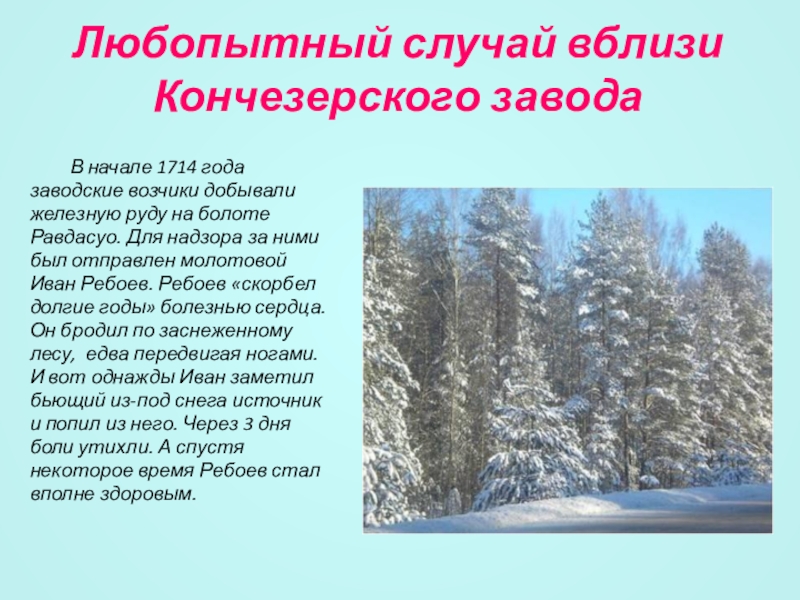 Любопытный случай вблизи Кончезерского завода В начале 1714 годазаводские возчики добывалижелезную руду на болоте Равдасуо. Для надзора за