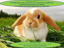 Презентация для объединения Основы ветеринарии Кролиководство как отрасль сельского хозяйства